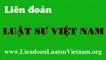 lien doan luat su viet nam
